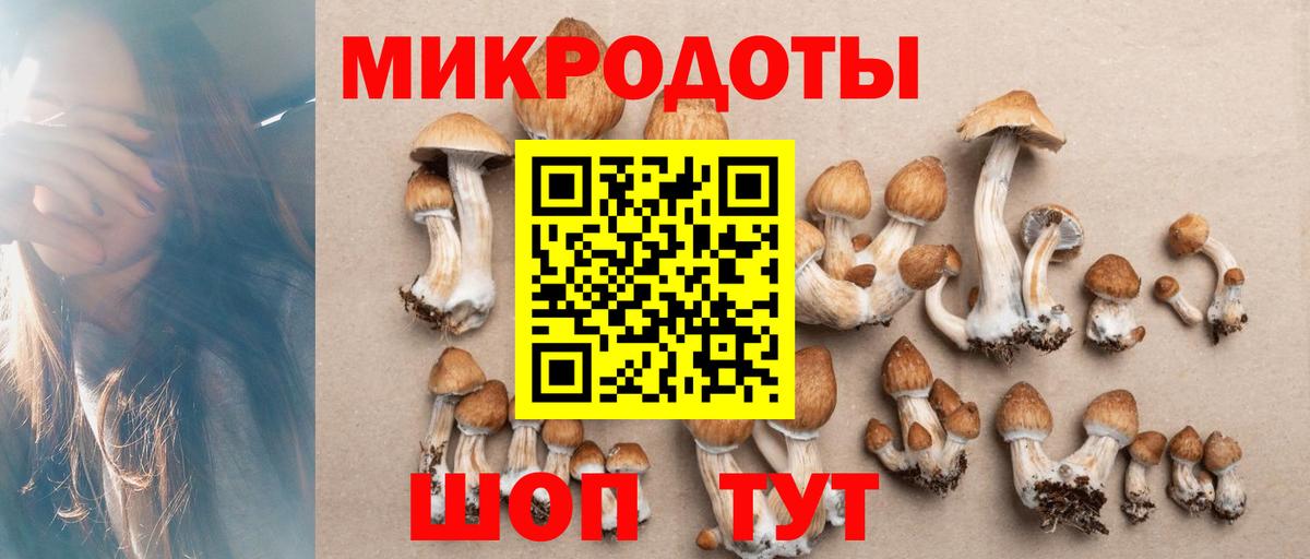 Дубна  Галлюциногенные грибы ЛСД  Вход с VPN 