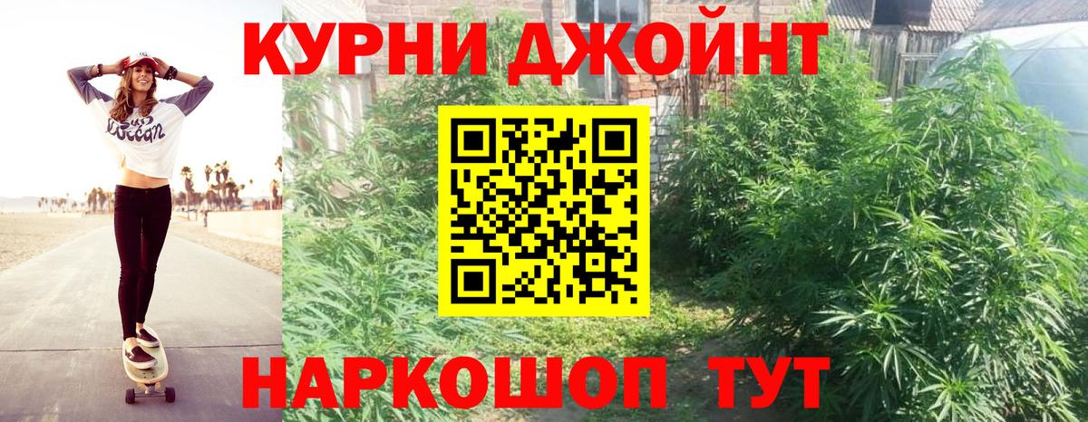 Бошки Шишки MAZAR  Конопля Amnesia  Вход с VPN  Дубна  Канабис план 